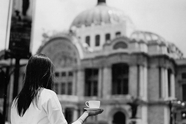 perroamarillo cafe punta del cielo