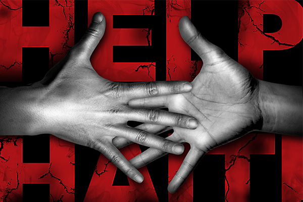 perroamarillo haiti cruz roja