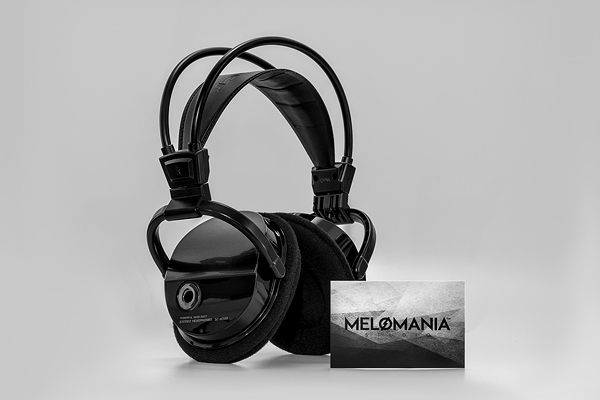 perroamarillo melomania