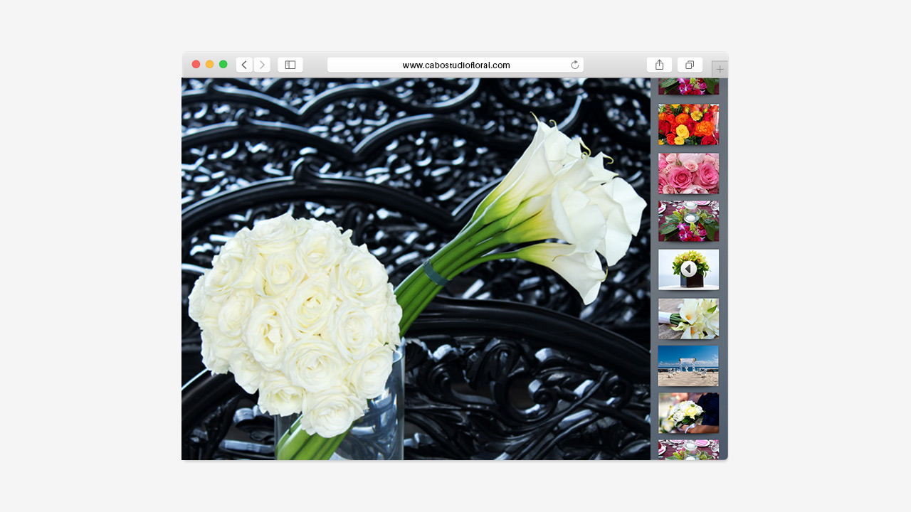 perroamarillo-cabo-floral