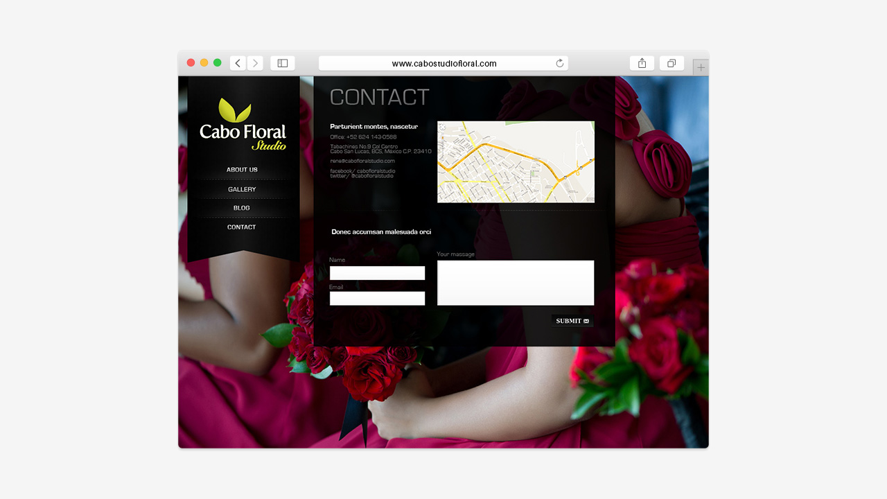 perroamarillo-cabo-floral