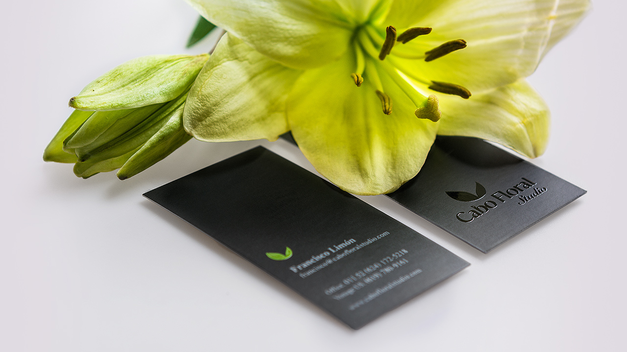 perroamarillo-cabo-floral