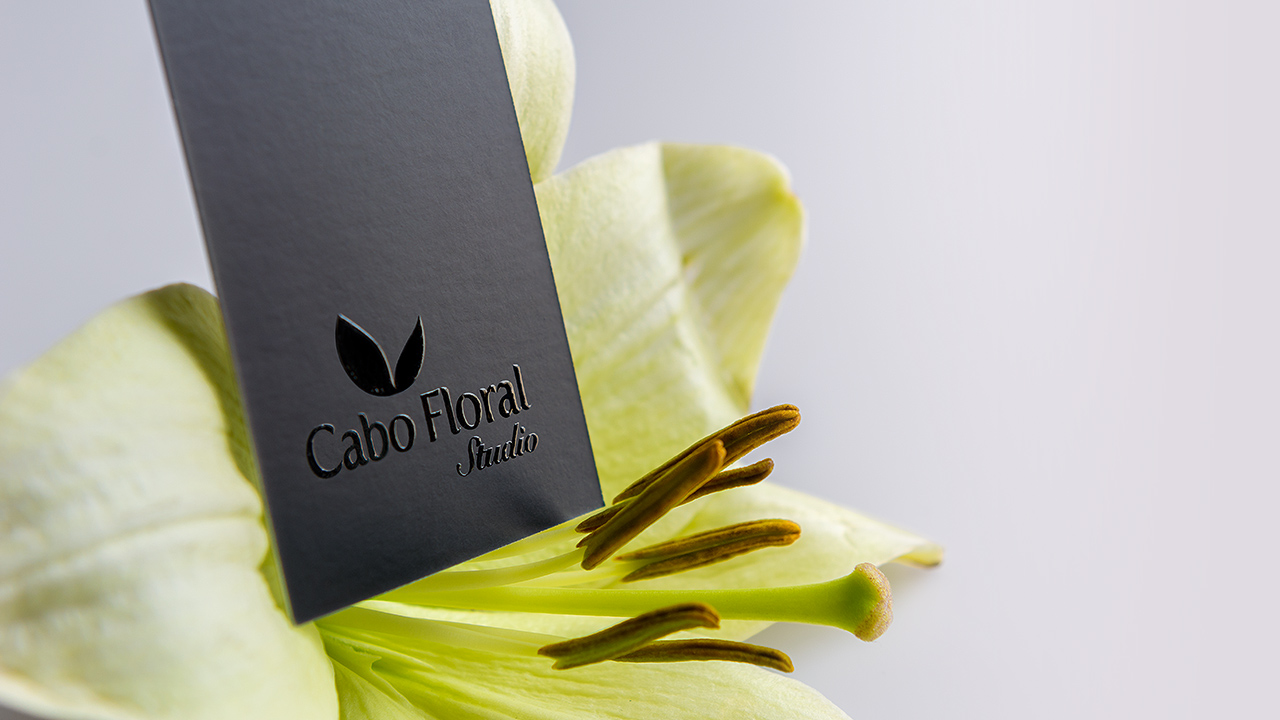perroamarillo-cabo-floral