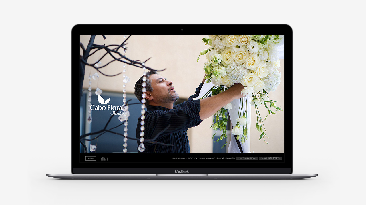 perroamarillo-cabo-floral