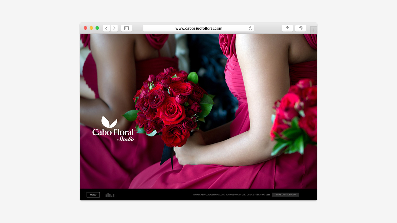 perroamarillo-cabo-floral