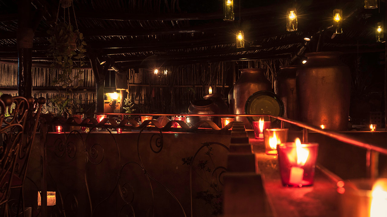 perroamarillo_cafe_punta_del_cielo