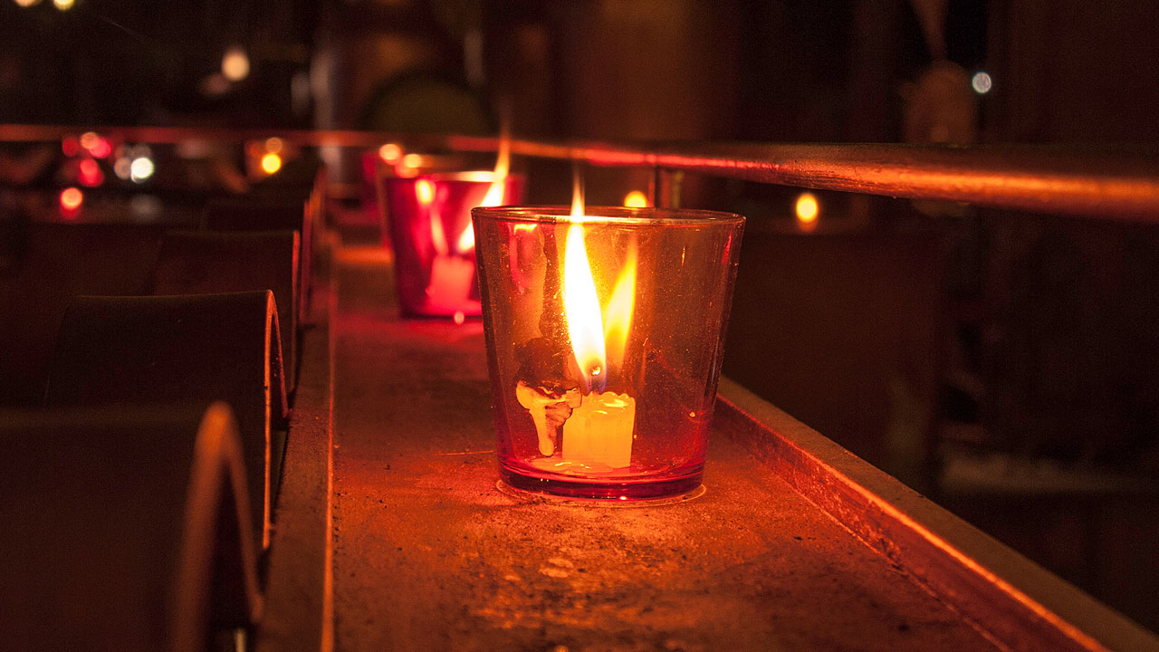 perroamarillo_cafe_punta_del_cielo