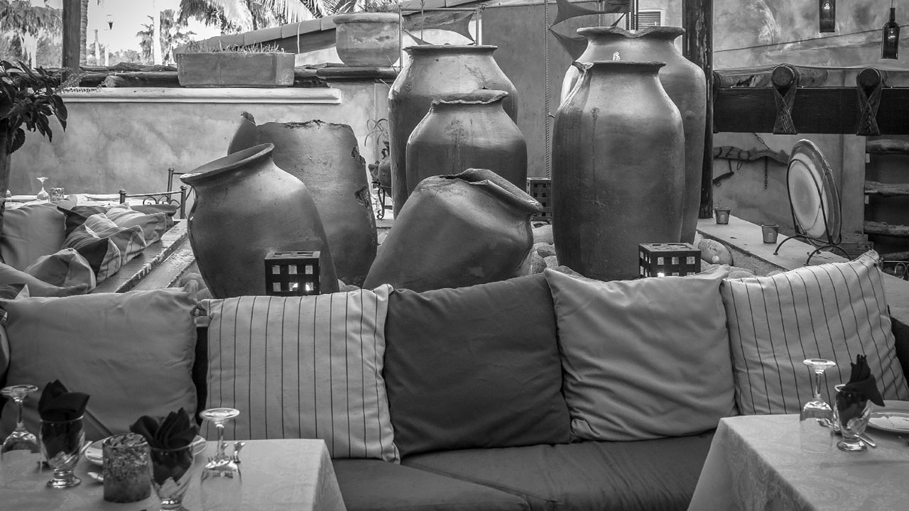 perroamarillo_cafe_punta_del_cielo