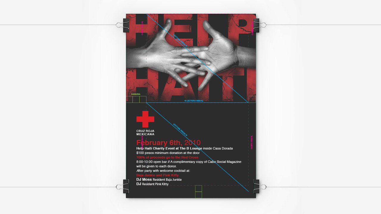 perroamarillo_haiti_cruz_roja