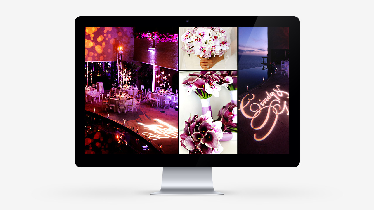 perroamarillo-karla-casillas