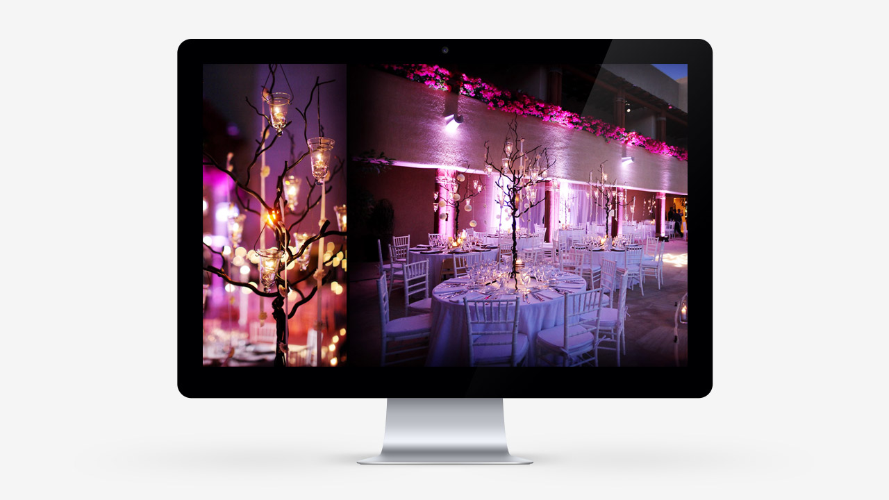 perroamarillo-karla-casillas