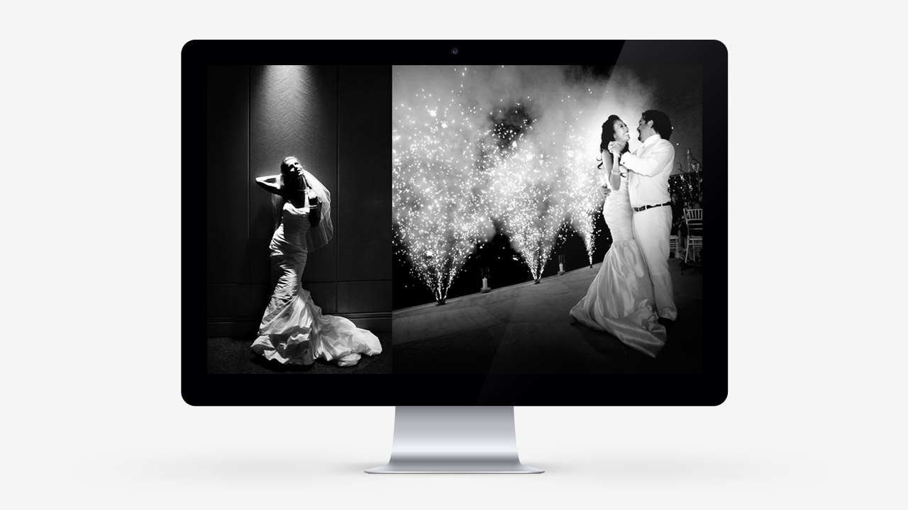 perroamarillo-karla-casillas