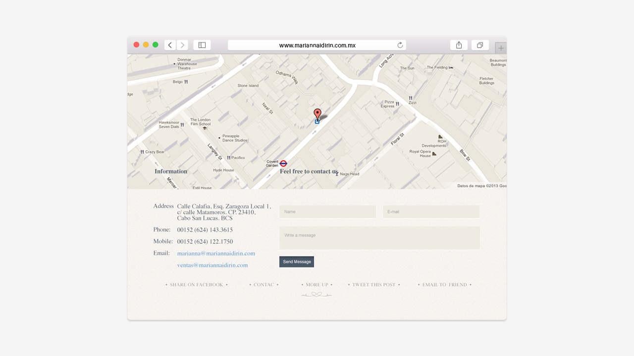 perroamarillo_mariana_idirin