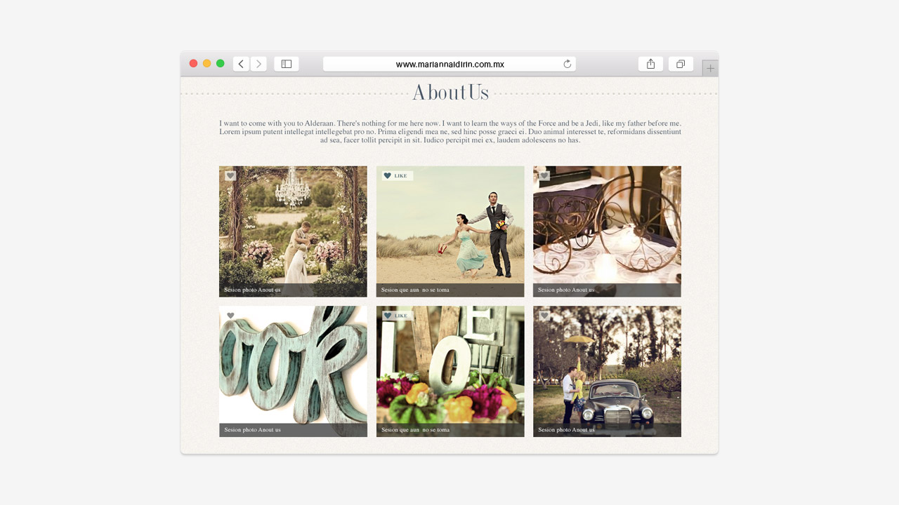 perroamarillo_mariana_idirin