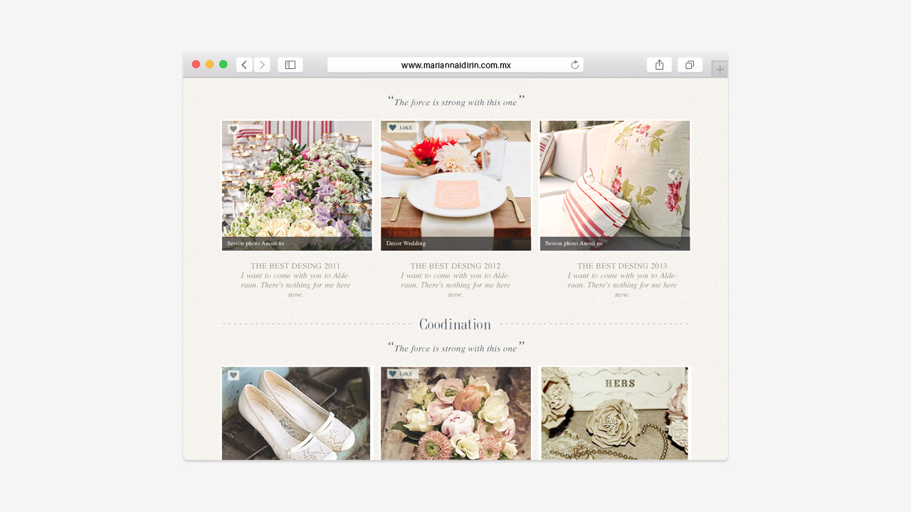 perroamarillo_mariana_idirin