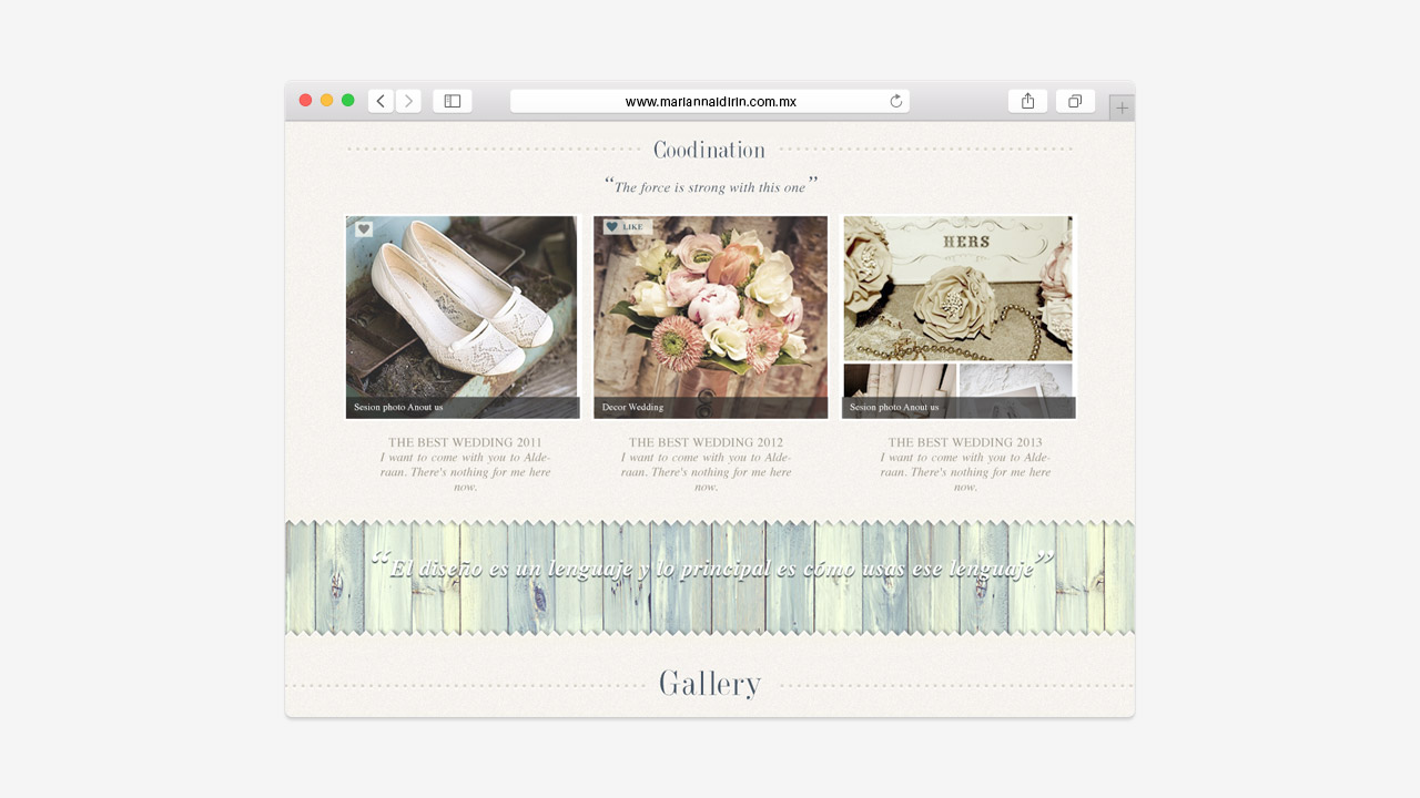 perroamarillo_mariana_idirin