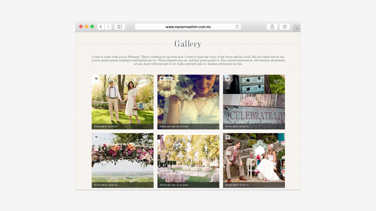 perroamarillo_mariana_idirin