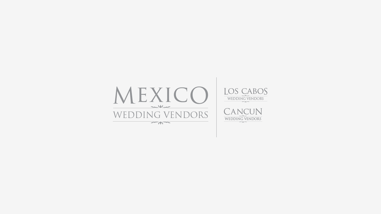 perroamarillo_mexico_wedding_vendors